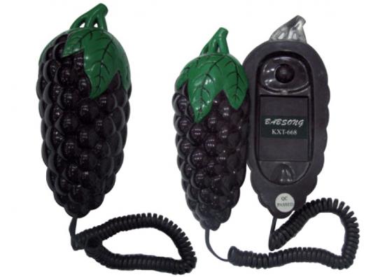 blackberry phone