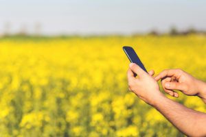 Hand holding a phone in a field